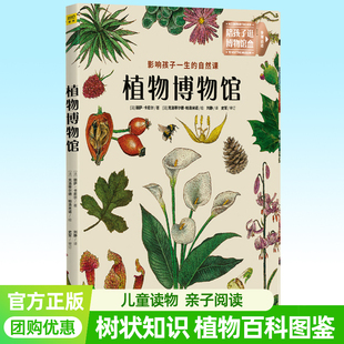 植物博物馆 影响孩子一生的自然课  自然大百科儿童动植物演化历史DK儿童启蒙认知科普绘本图鉴全彩手绘图片植物生活环境外观 正版
