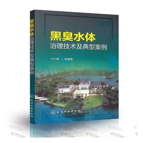 黑臭水体治理技术及典型案例 河流环境污染控制与修复技术书籍 黑臭水体 黑臭水体整治原则 治理基本思路及技术措施 污水处理