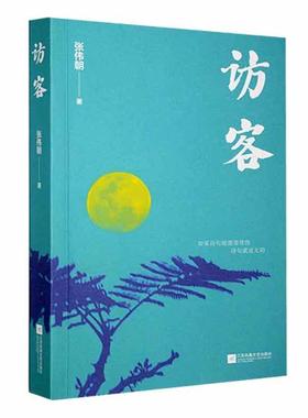 正版访客张伟超书店文学江苏凤凰文艺出版社书籍 读乐尔畅销书
