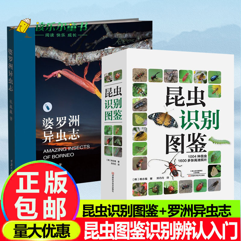 昆虫识别图鉴+罗洲异虫志1004种昆虫1600多张高清照片自然百科知识读物玩虫子从入门到疯狂你只差这一本书100 个雨林昆虫的小故事 书籍/杂志/报纸 昆虫 原图主图