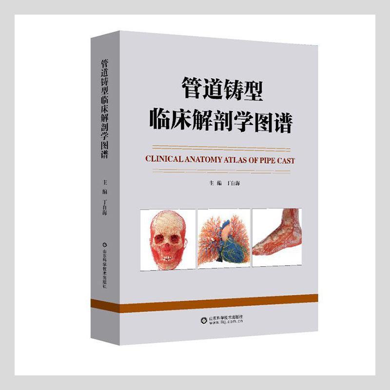 管道铸型临床解剖学图谱 丁自海 血管外科学人体解剖学图谱普通大众医药卫生书籍山东科学技术出版社
