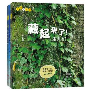 故事 传记书籍正版 安田守 学龄前儿童 昆虫少儿读物 生命