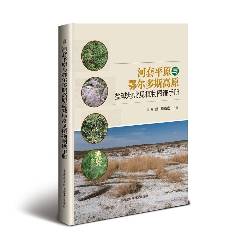 河套原与鄂尔多斯高原盐碱地常见植物图谱手册 王婧 盐碱地植物内蒙古图谱研究人员自然科学书籍中国农业科学技术出版社