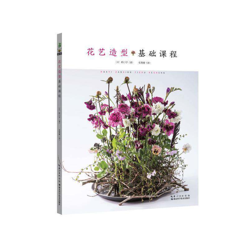 花艺造型基础课程 桥口学   艺术书籍湖北科学技术出版社
