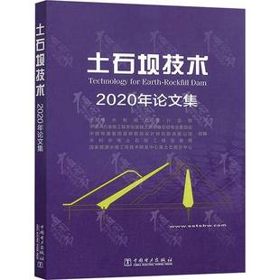2020年论文集 工业技术书籍正版 水电水利规划设院组 社 中国电力出版 土石坝技术