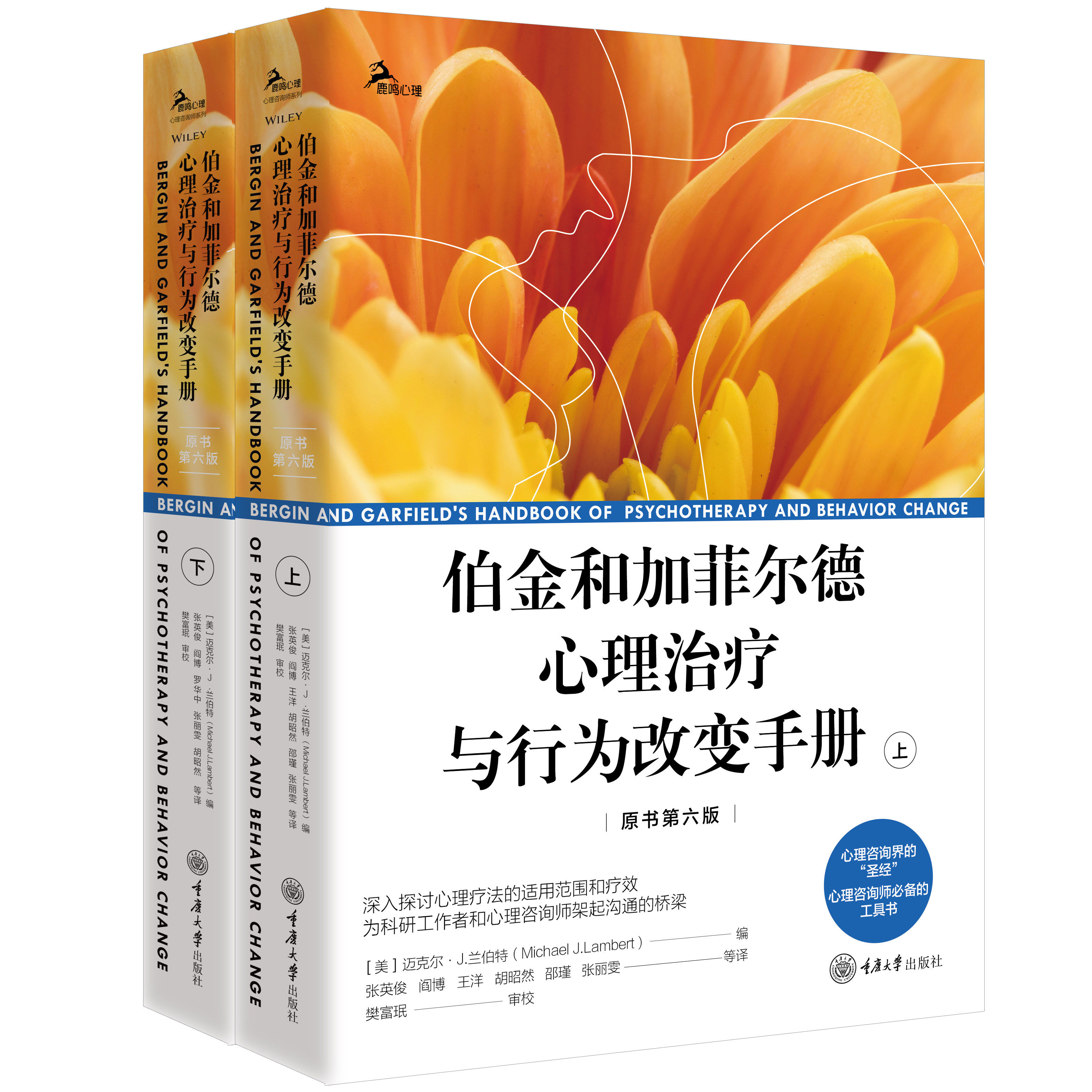 伯金和加菲尔德心理治疗与行为改变手册 原书第6版 上下册 整合实证理论与实践里程碑式巨著 心理咨询治疗师参考工具书心理学书籍