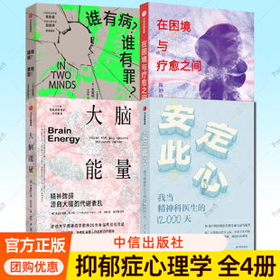 4册 大脑能量+安定此心 我当精神科医生的12000天+在困境与疗愈之间:一位全科医生的精神科见习录+谁有病?谁有罪?抑郁症 心理学