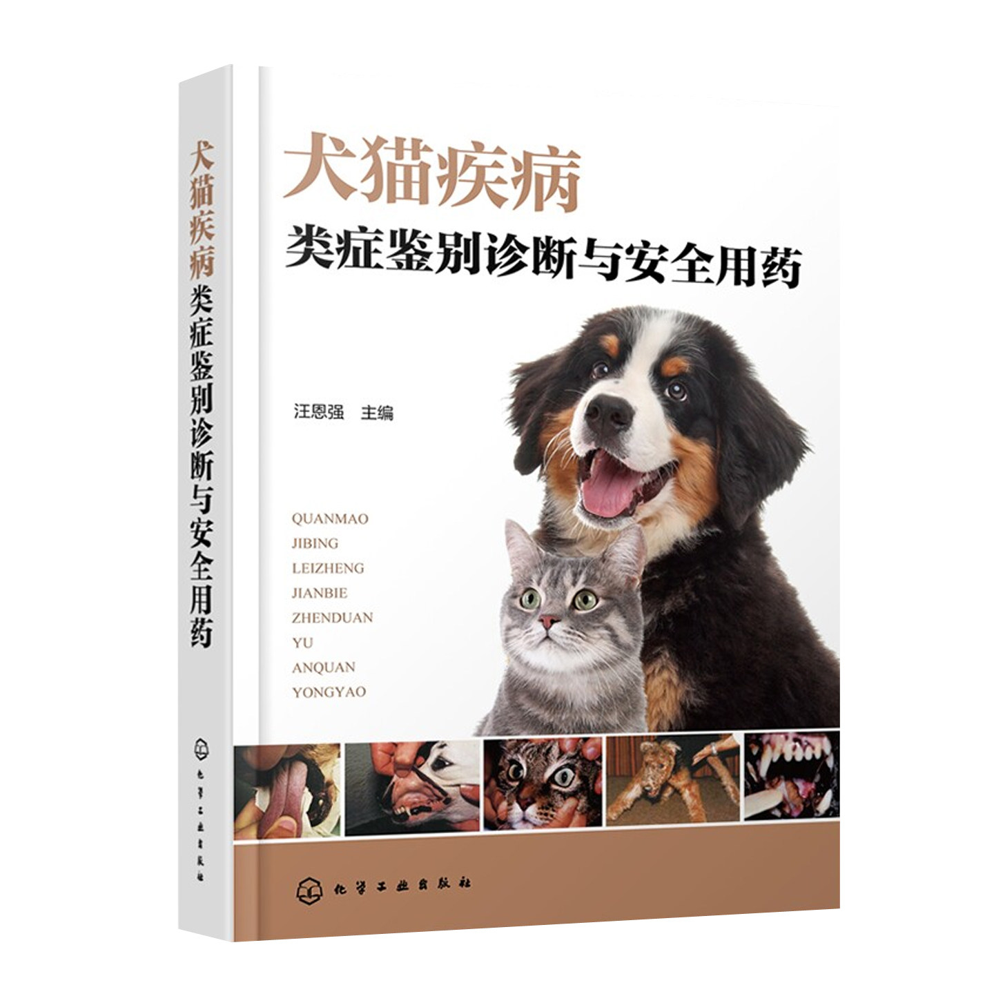 犬猫疾病类症鉴别诊断与安全用药 猫狗疾病病症诊断鉴别参考动物兽医专业教材宠物医生兽医书籍