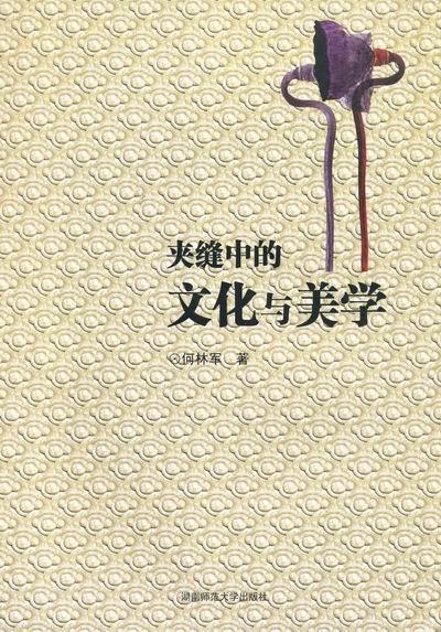 正邮 夹缝中的文化与美学何林军书店哲学湖南师范大学出版社书籍 读乐尔畅销书