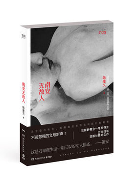 南安无故人 陆俊文 叛逆成长 书籍