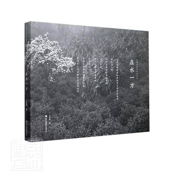 在水一方:汪远强摄影作品选集 汪远强 摄影集中国现代普通大众艺术书籍浙江摄影出版社