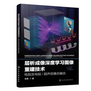 电阻及电阻 Net图像重建方法 超声双模态融合 Net与VD Landweber深度学习图像重建方法研究参考书 层析成像深度学习图像重建技术