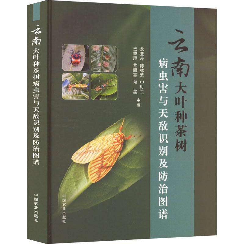 云南大叶种茶树病虫害与天敌识别及防治图谱 龙亚芹   农业、林业书籍中国农业出版社