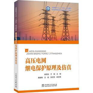工业技术书籍正版 高压电网继电保护原理及 谢将剑
