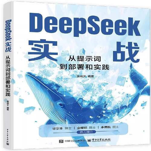DeepSeek实战 从提示词到部署和实践 MoE架构与多Token预测 Web UI对话界面搭建 RAG系统构建 大模型应用书籍