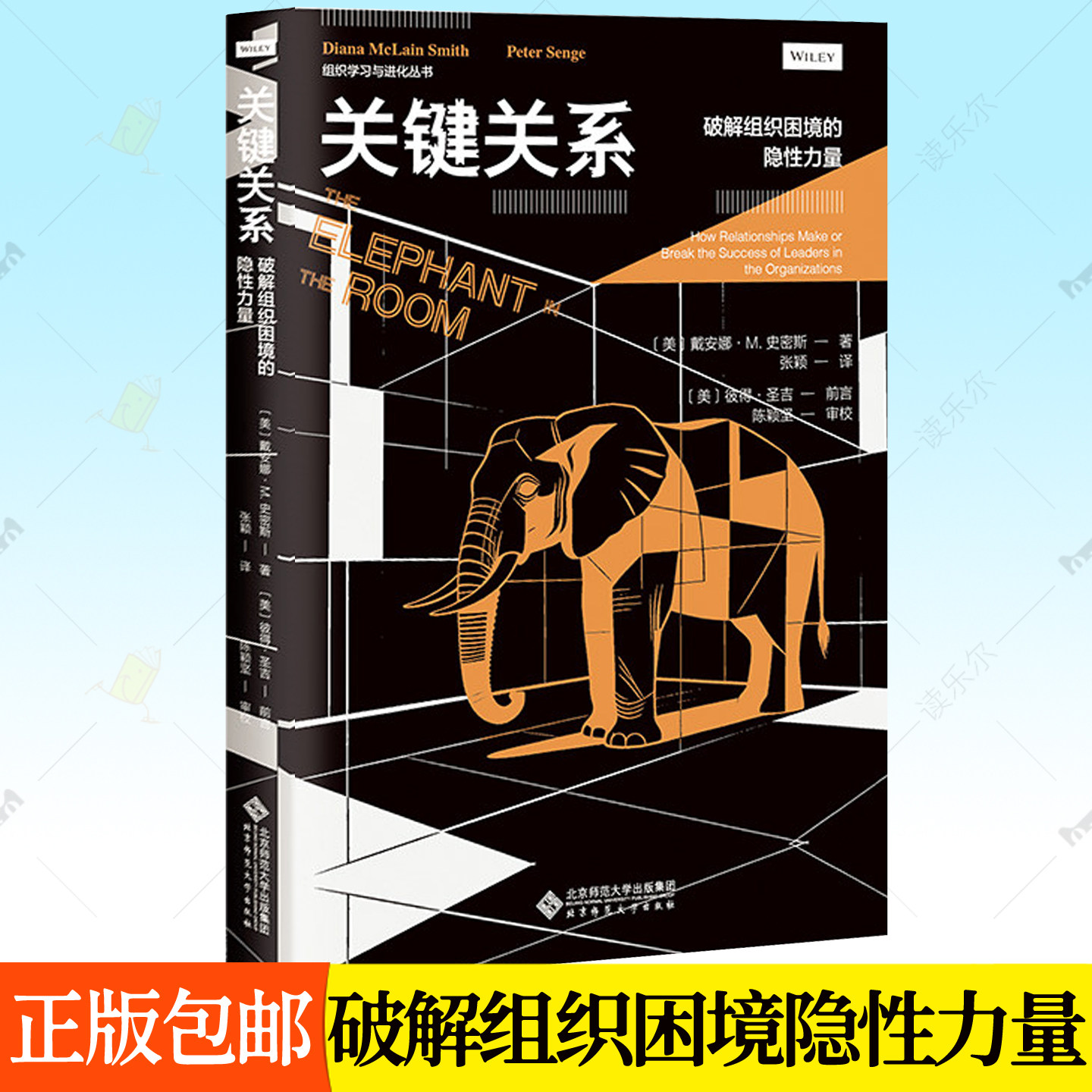 关键关系：破解组织内在困局的隐性力量 揭示组织人人回避真相成败关键从不在战略本身而在隐性关系组织学习与进化丛书 领导力书籍