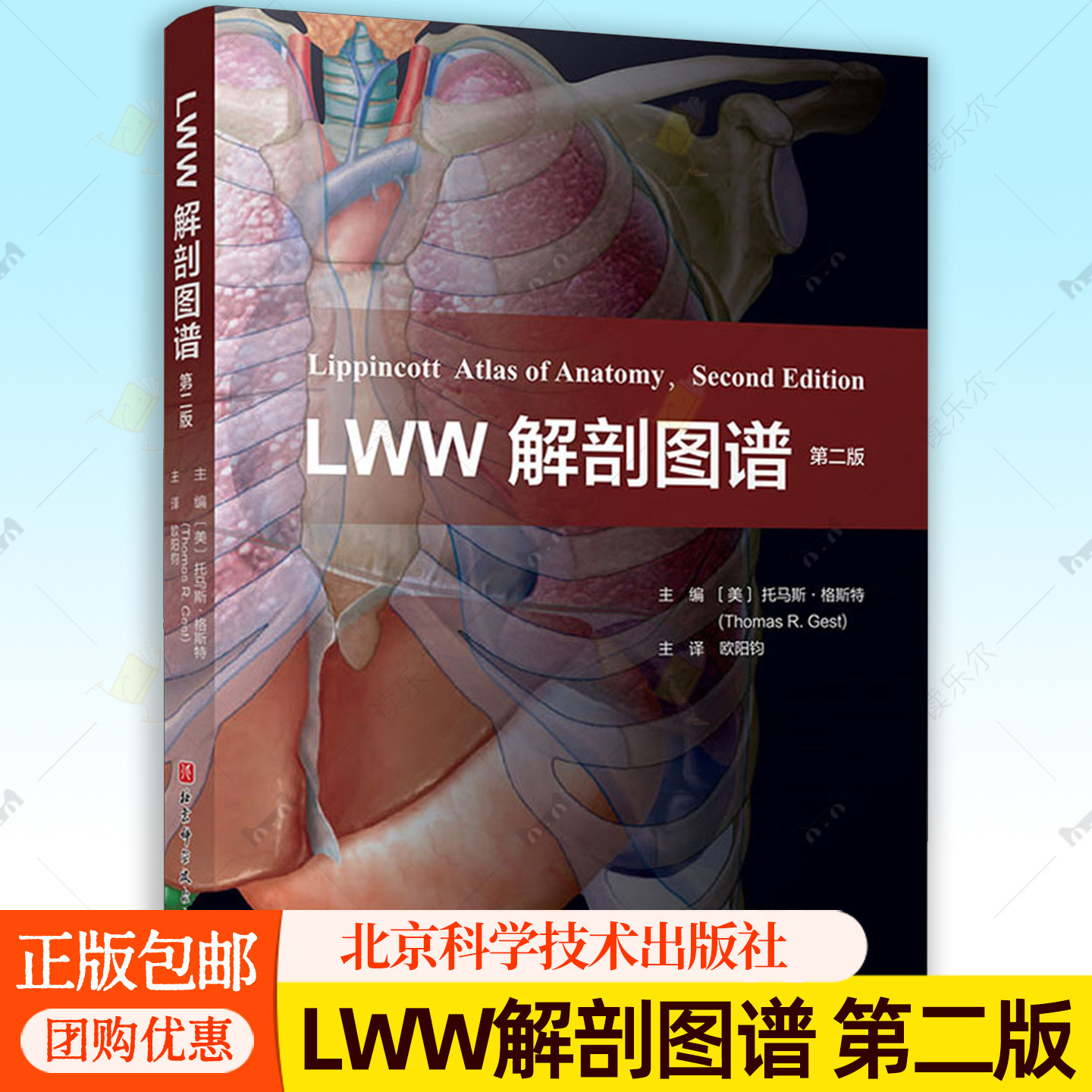 正版包邮 LWW解剖图谱:第二版医学卫生按照表面解剖浅层结构深层结构的逻辑顺序安排插图同时插图兼顾局部解剖学的教学需要
