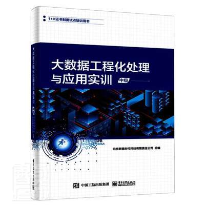 正版大数据工程化处理与应用实训(中级1+X证书制度试者_北京新奥时代科技有限责任公书店工业技术电子工业出版社书籍 读乐尔畅销书