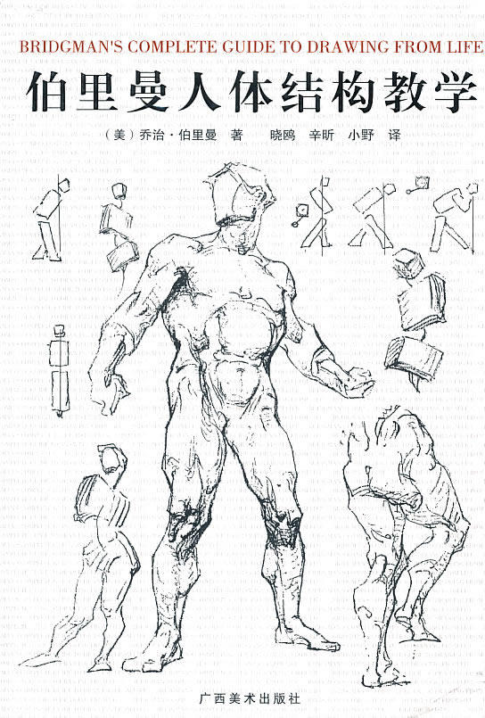 正版包邮 伯里曼人体结构教学 乔治·伯里曼 书店 素描,速写技法书籍