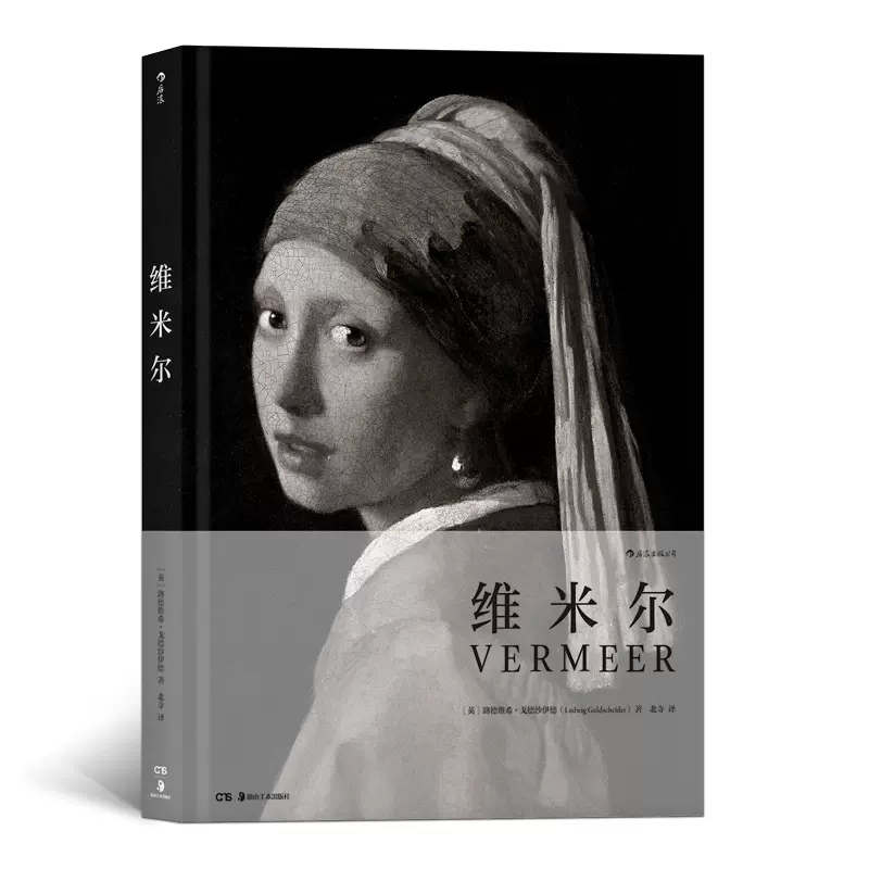维米尔画集 费顿经典画册 全彩插图 维米尔油画作品集戴珍珠耳环的少女艺术史绘画史艺术家传记美术启蒙生活艺术书鉴赏绘画书籍