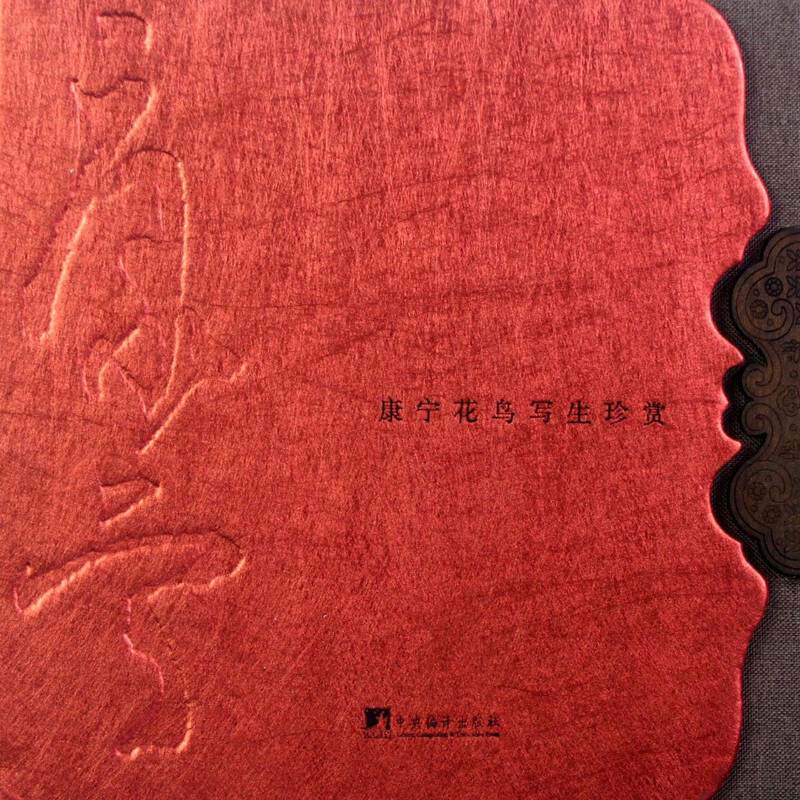 康宁花鸟写生珍赏 康宁 花鸟画作品集中国现代 艺术书籍中央编译出版社