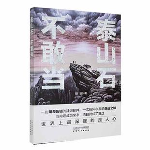 社书籍 不敢当胡超书店小说天津人民出版 读乐尔畅销书 泰山石 正版