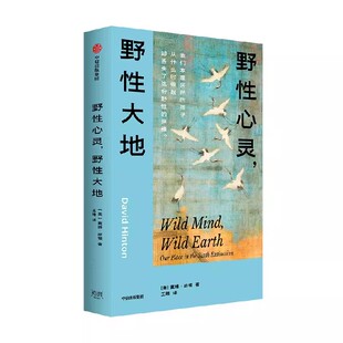 野性心灵 野性大地 戴维 欣顿著 融汇古典诗性与生态哲思之作 在万物喧嚣的时代 重拾与自然的亲缘 中信出版社图书 正版