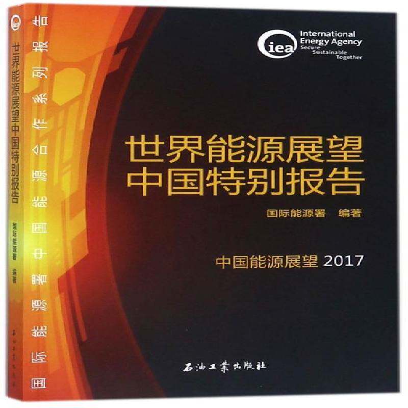 世界能源展望中国报告 能源署 能源发展研究报告中国 经济书籍石油工业出版社