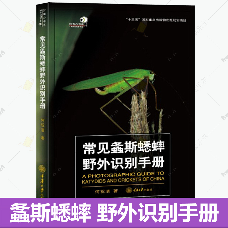 常见螽斯蟋蟀野外识别手册 好奇心书系收录200多种螽斯蟋蟀外部形态鉴别特征生活史产地高清彩色图鉴 昆虫爱好者参考科普百科书籍