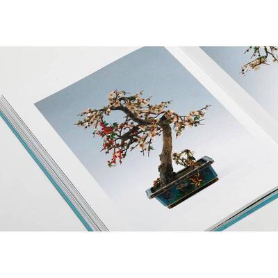 金琅华灿:张宗宪捐赠掐丝珐琅器:Chinese cloisonne as a gift Robert Chang's collection 书 褚 书籍正版上海书画出版社