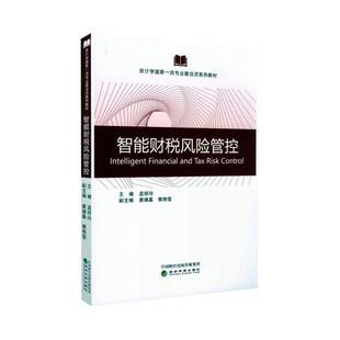 经济书籍正版 智能财税风险管控 孟祥玲