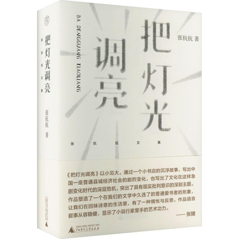 把灯光调亮 张抗抗     小说书籍正版