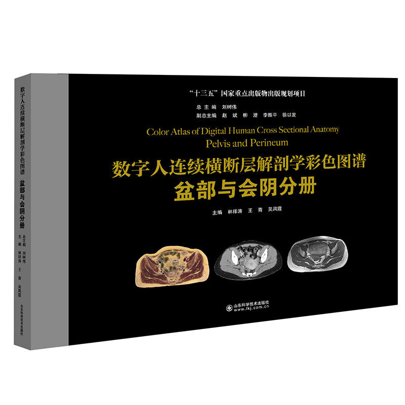 数字人连续横断层解剖学彩色图谱 盆部与会阴分册 林祥涛 王青 吴凤霞 主编 胎儿脊柱发育 临床新应用前列腺 断层图像 CT 图像