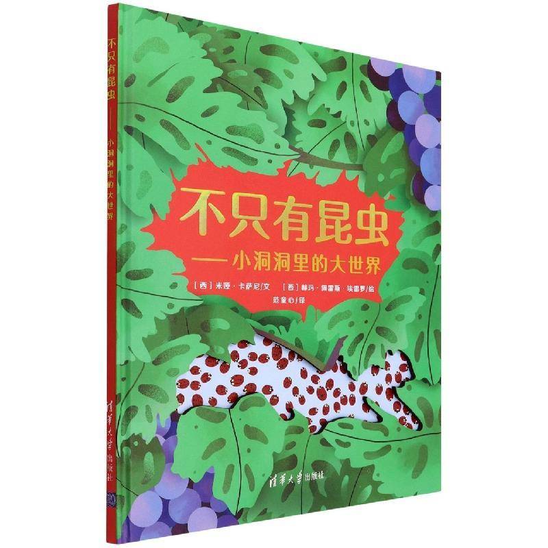 不只有昆虫（小洞洞里的大世界）米娅&middot;卡萨尼文 书籍正版清华大学出版社