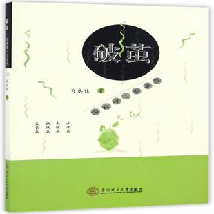 社 华南理工大学出版 破茧：给青春一个交代 肖永住随笔作品集中国当代传记书籍正版