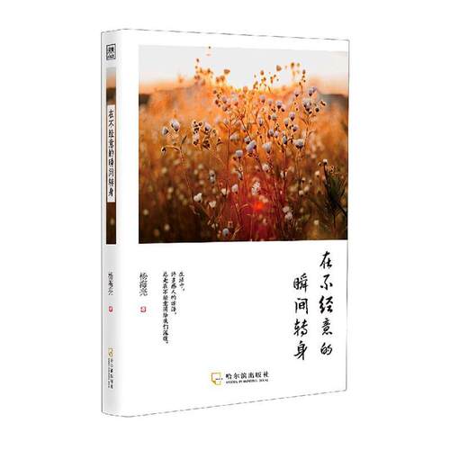 在不经意的瞬间转身 杨海亮 散文集中国当代普通大众文学书籍哈尔滨出版社