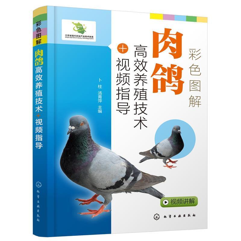 彩色图解肉鸽养殖技术+指导 卜柱 肉用型鸽饲养管理图解普通大众农业、林业书籍化学工业出版社