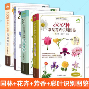 正版 500种常见园林植物识别图鉴彩图典藏版 景观园林植物图鉴常见园林树木识别植物分类与应用花草树木鉴别鉴赏方法园林绿化书籍