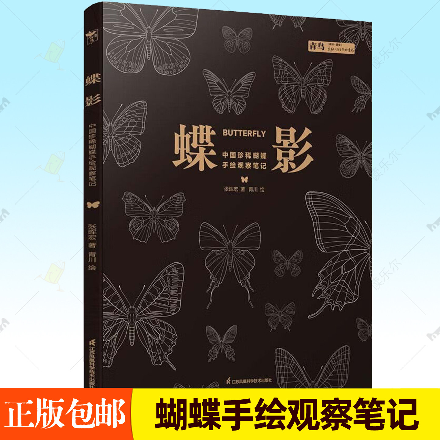 蝶影:中国蝴蝶手绘观察笔记 张晖宏 关于蝴蝶的书特征分布地点种类识别凤蝶分类知识飞蛾图谱图册图鉴科普读物昆虫百科书籍