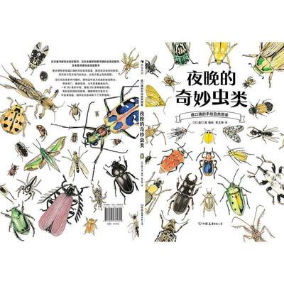 夜晚的奇妙虫类盛口满绘 书籍正版中国友谊出版公司