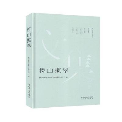 正版包邮 桥山揽翠   书店 文学  太白文艺出版社 书籍 读乐尔畅销书