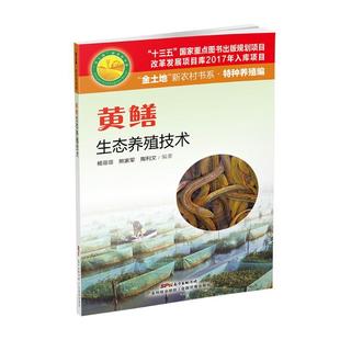 书店农业 林业 广东科技出版 正邮 书籍 杨菲菲 社 读乐尔畅销书 黄鳝生态养殖技术