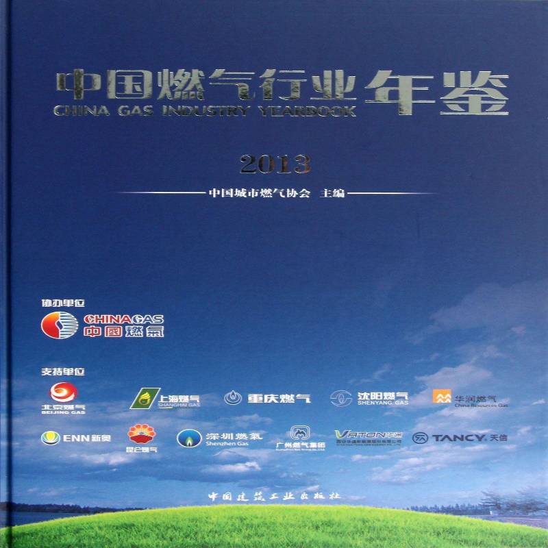 中国燃气行业年鉴:2013 中国城市燃气协会 经济书籍中国建筑工业出版社