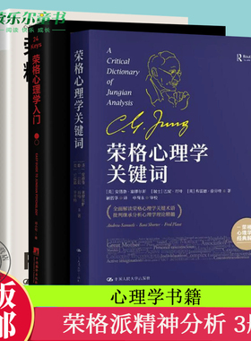 全套3册 24Keys荣格心理学入门+ 荣格派精神分析+荣格心理学关键词(精) 莫瑞斯坦博士精神分析入门心理咨询 心理学术语 理论与研究