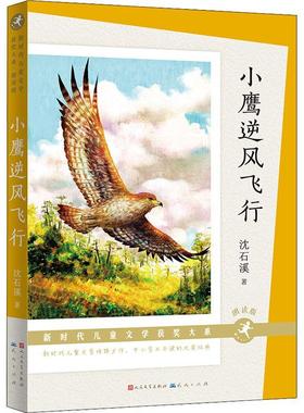 正版小鹰逆风飞行沈石溪书店儿童读物天天出版社书籍 读乐尔畅销书