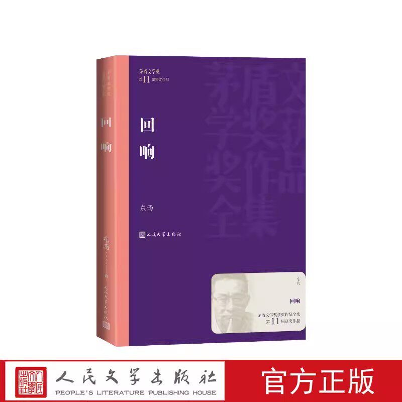 回响 东西长篇新作藉助案件侦破推理小说模式通过对当代人隐秘而复杂心理的追溯和探寻人民文学出版社正版书籍