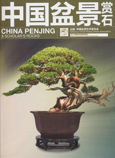 包邮 Review 正版 China 农业 2013 events书中国盆景艺术家协会 中国盆景赏石 林业书籍 中国盆景活动回顾专辑 Peg issue