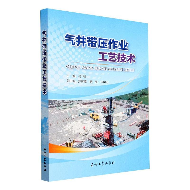正版气井带压作业工艺技术何骁书店工业技术石油工业出版社书籍 读乐尔畅销书