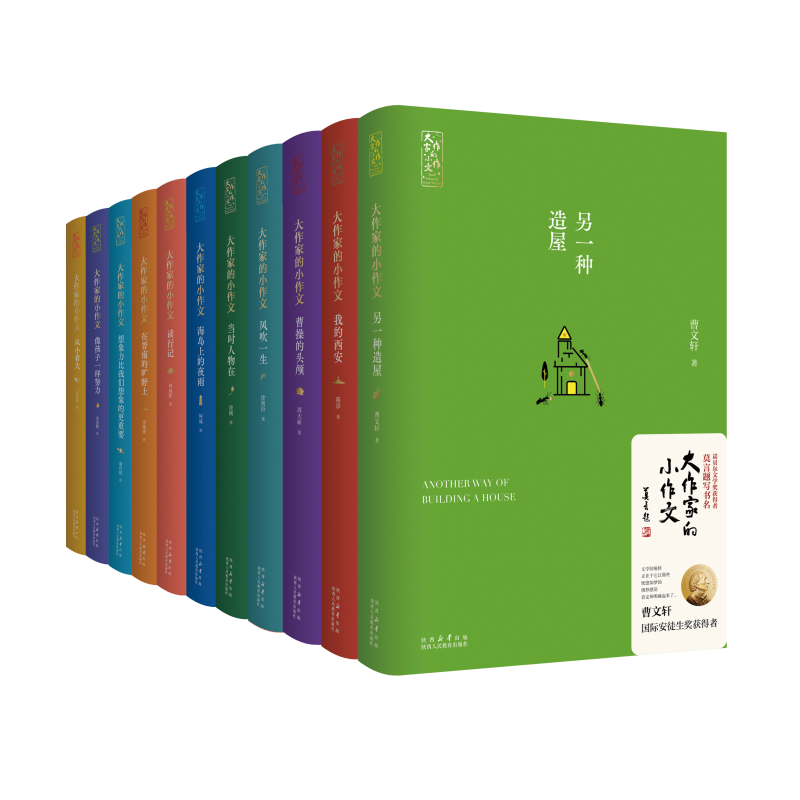 大作家的小作文全11册周大新曹操的头颅徐则臣 风吹一生阿成海岛上的夜雨曹文轩另一种造屋陈彦我的西安何向阳读行记 小说散文随笔