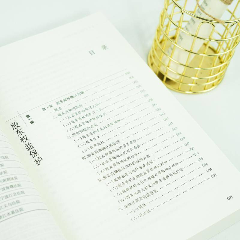 公司诉讼法律实务全解 李洪灯等 公司经济纠纷民事诉讼法律解释中律师企业法务法律书籍法律出版社